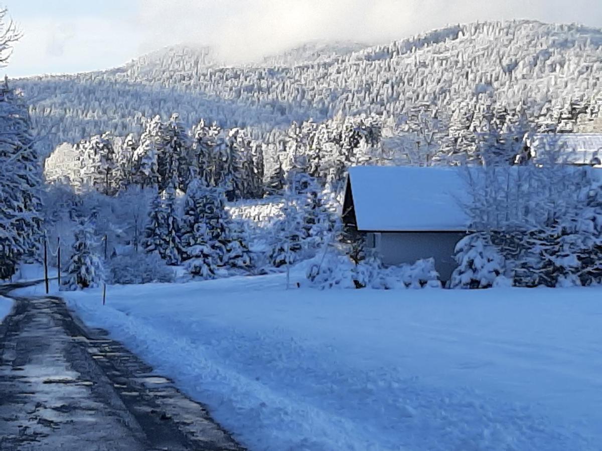 Chalet Waldstadl, Andrea'S Woidhaisl Arnbruck Bagian luar foto