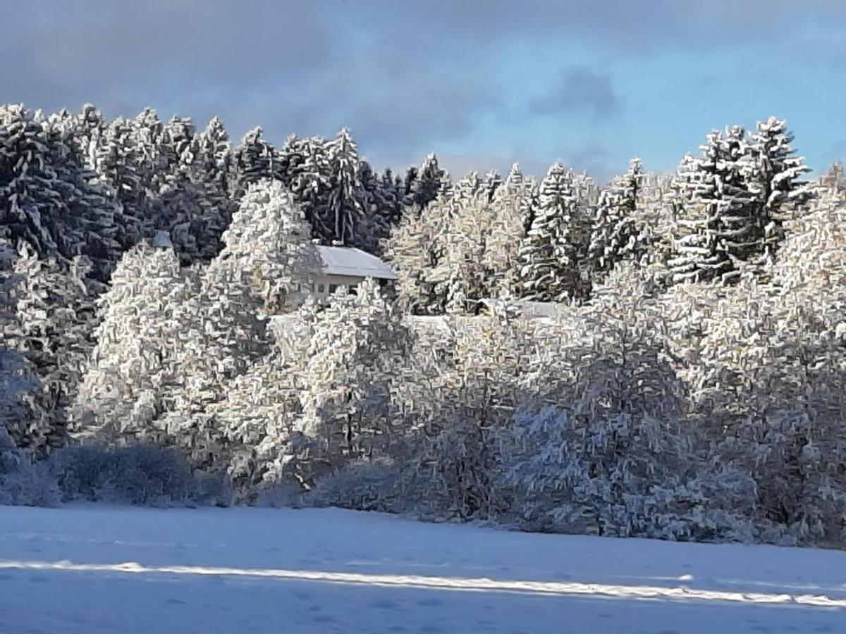 Chalet Waldstadl, Andrea'S Woidhaisl Arnbruck Bagian luar foto