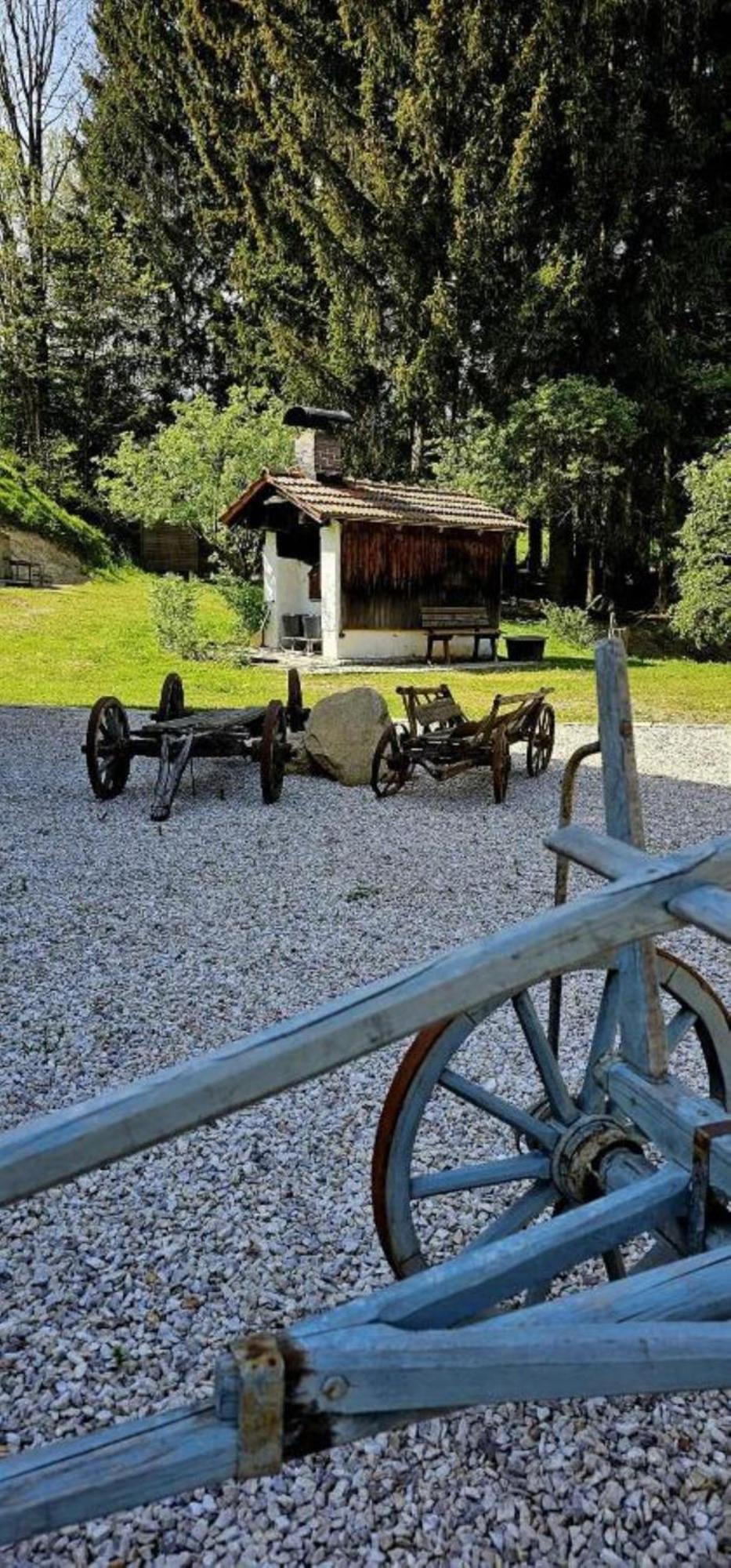 Chalet Waldstadl, Andrea'S Woidhaisl Arnbruck Bagian luar foto